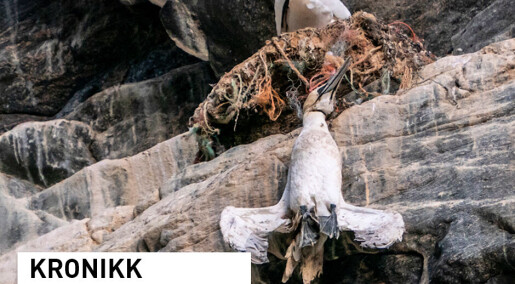 Hvordan kan vi vinne kampen mot plastforurensingen? Hvordan kan vi vinne kampen mot plastforurensingen?