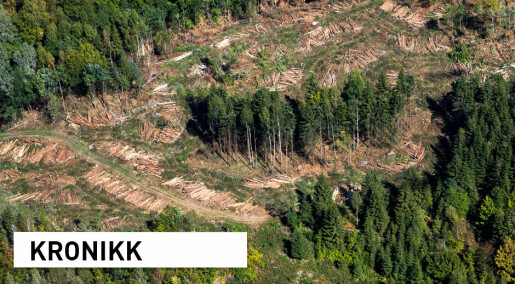 Slik avdekket vi feil i Nature-artikkel om nedhuggingen av Europas skoger