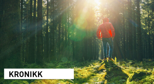 Derfor er ungdom blinde for endringer i naturen Derfor er ungdom blinde for endringer i naturen