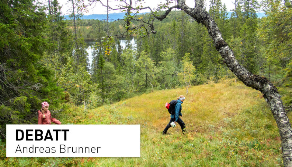 Hvor mye karbon lagrer ny og gammel skog? Det er usikkert, skriver Andreas Brunner.