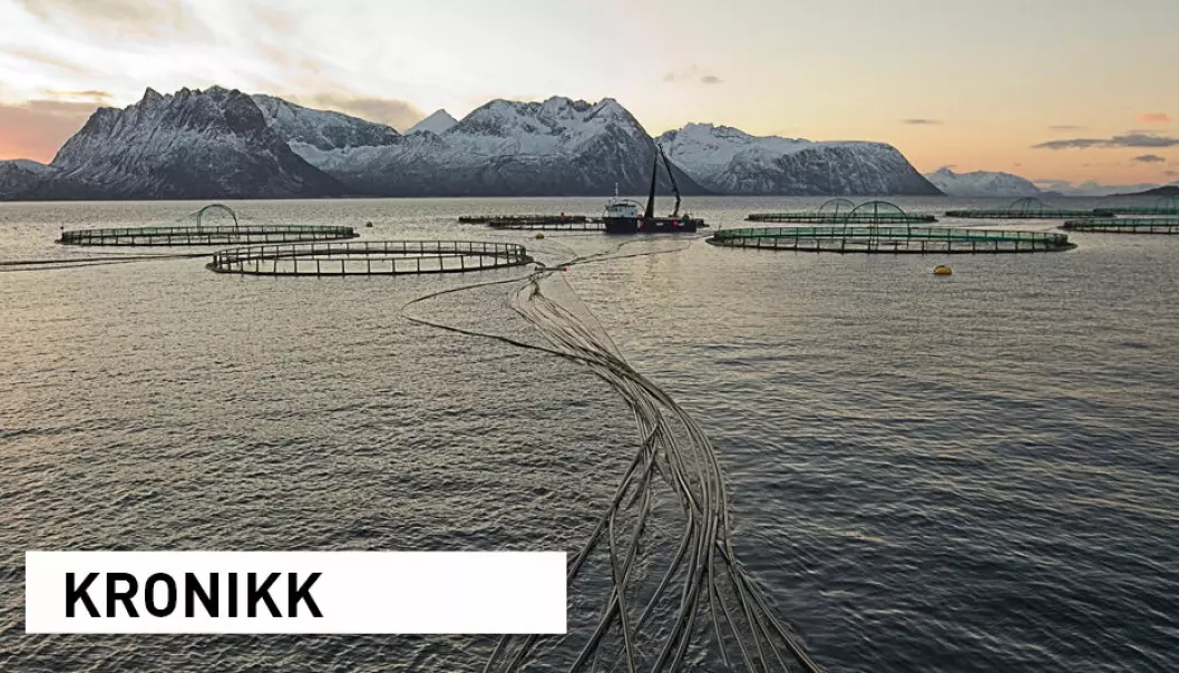 Kan mandagens dystre klimarapport gjøre at vi våkner opp i morgen og tar grep om klimaavtrykk og tilpasning? Norsk havbruksnæring har potensial til å gå foran som et godt eksempel, skriver kronikkforfatterne.