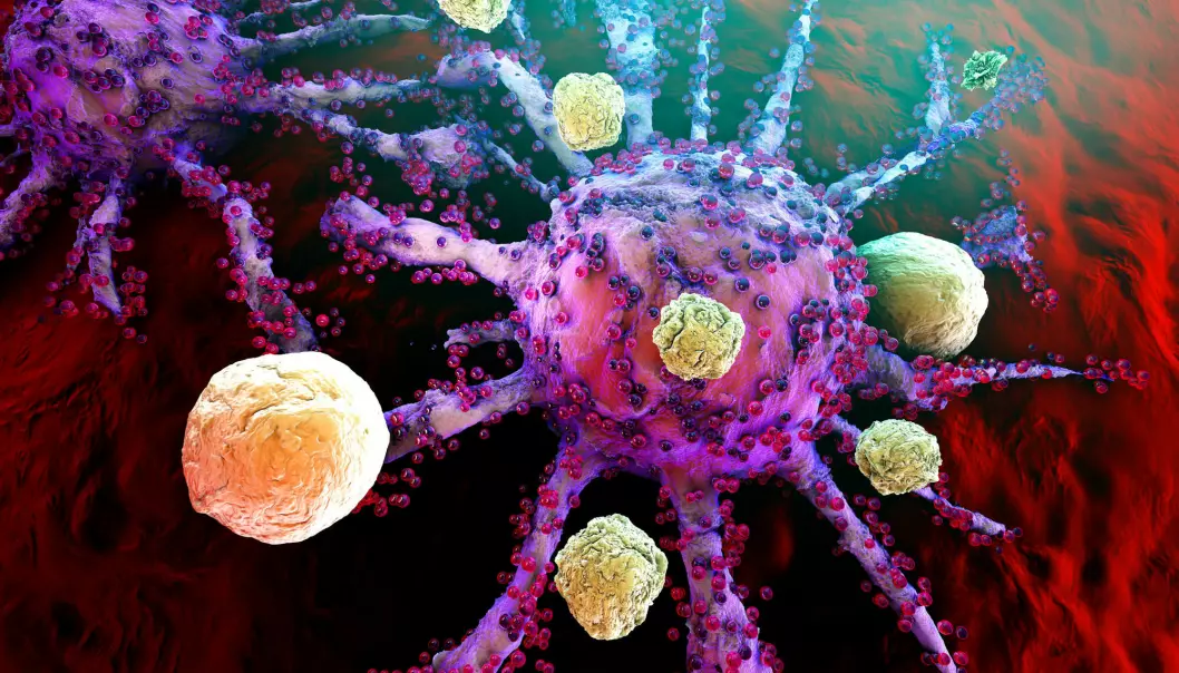 Illustrasjonen skal forestille immunceller som angriper en kreftsvulst.