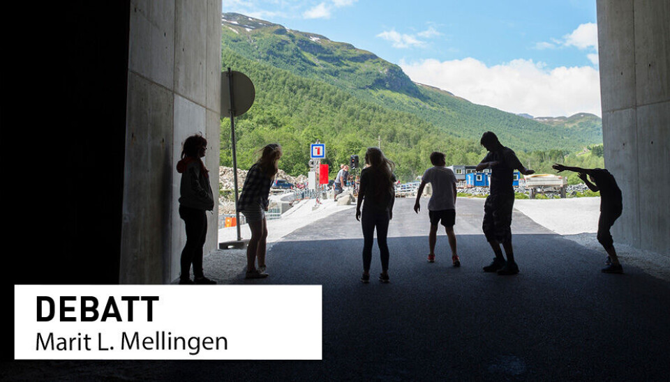 Mer forskning på unge i distriktene er nødvendig for å finne tiltak som motiverer dem til å bli værende, mener direktør ved Distriktssenteret Marit L. Mellingen.
