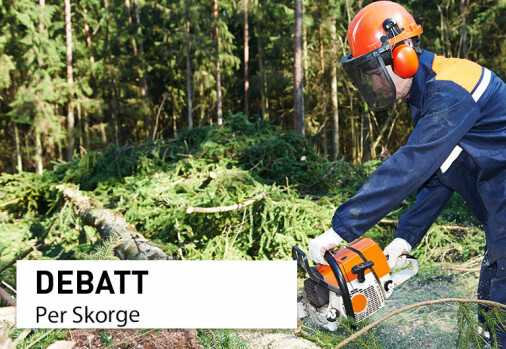 Norsk skogbruk er et av verdens mest bærekraftige
