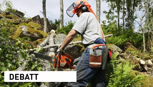 Behov for reform av norsk skoglovgivning