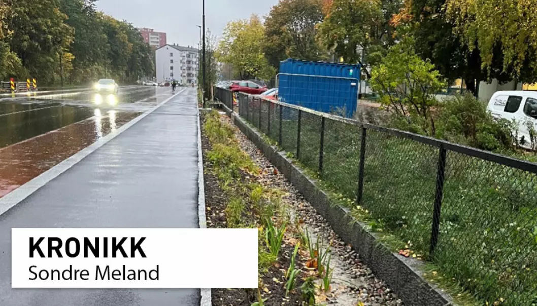 Nytt regnbed i Uelands gate i Oslo som skal rense overvann fra veien. Regnbedet skal inngå som en testpilot i EU-prosjektet Multisource.