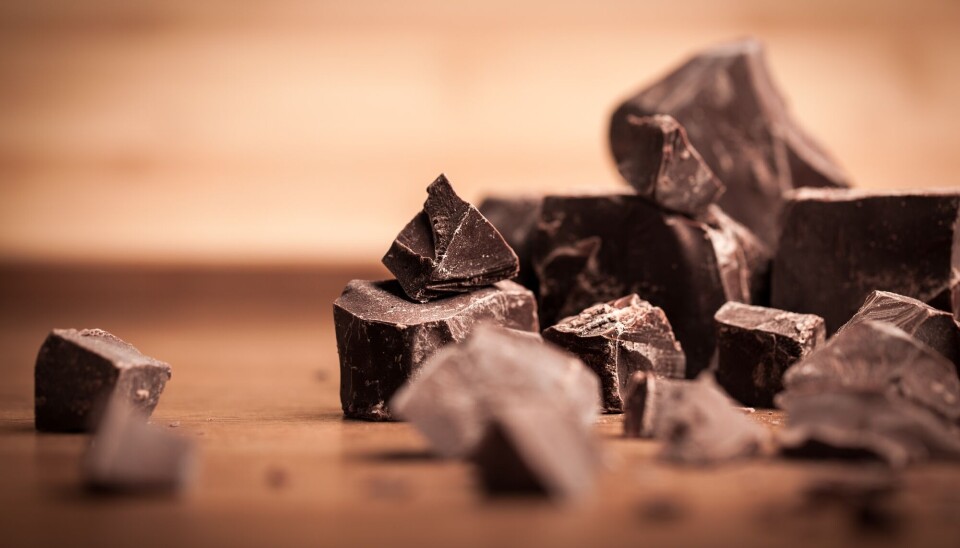 Neste gang du spiser en bit melkesjokolade kan du tenke på hvor langt sjokoladen har reist såvel kulturelt som geografisk, helt fra den spirituelle Xocolatl fra mesoamerika, til lørdagsgodteriet for den gjennomsnittlige nordmann, skriver Helene F.S Svendsen.