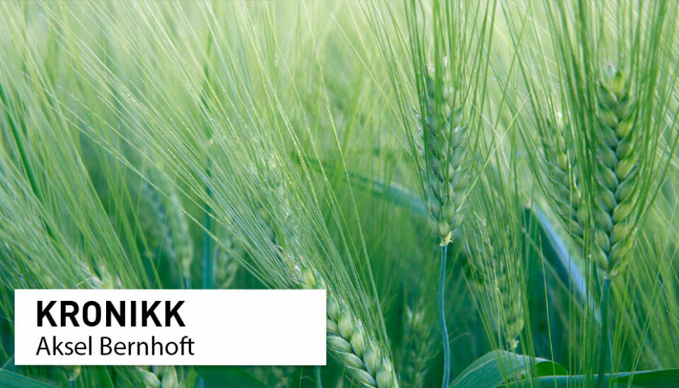 I økologisk landbruk er det fastsatt strengere og mer detaljerte minstekrav enn for konvensjonelt landbruk, skriver seniorforsker Aksel Bernhoft.