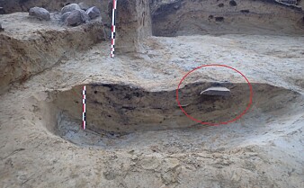 Her stikker verdens eldste runestein ut av bakken. Slik fant forskerne ut hvor gammel den er