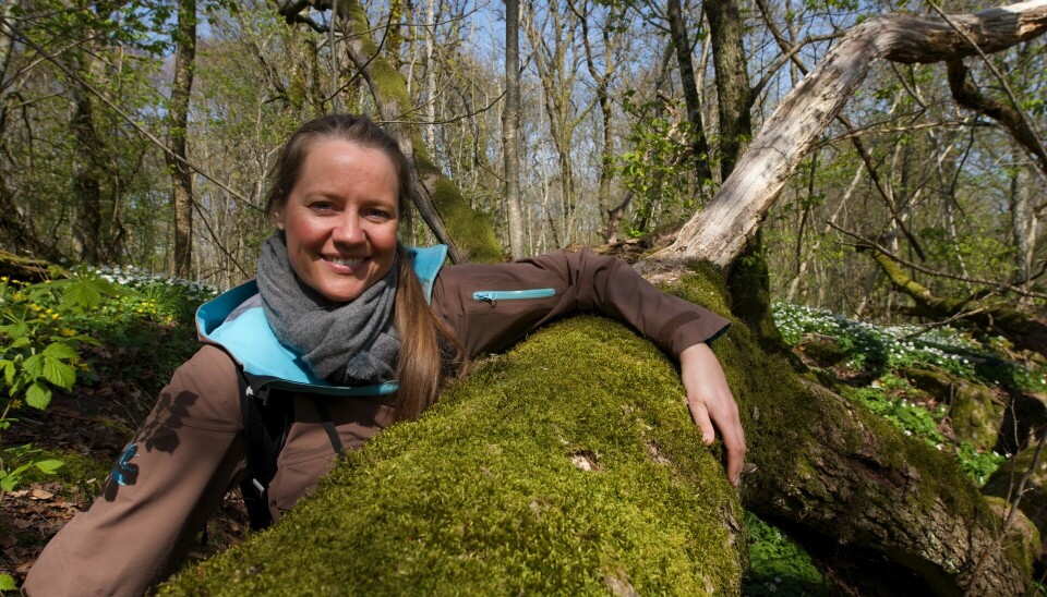 Gammel naturskog må gjøres om til naturreservat eller nasjonalparker, slik at sjeldne skogtyper og artene som lever der kan overleve, mener kronikkforfatterne. På bildet er Trude Myhre avbildet i Vestfoldskogen.