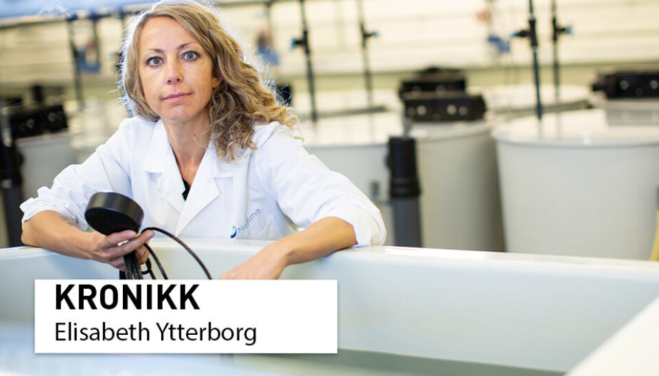 Klima: Jeg har uttrykt min bekymring i fagjournaler, foredrag, rapporter og i populærvitenskapelige kronikker. Jeg ser at det ikke er nok, skriver seniorforsker Elisabeth Ytterborg.