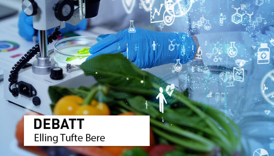 Litt enkelt sagt er et produkt ultraprosessert om det behøves prosesser eller ingredienser som vanligvis ikke finnes på et kjøkken, skriver innleggsforfatteren.
