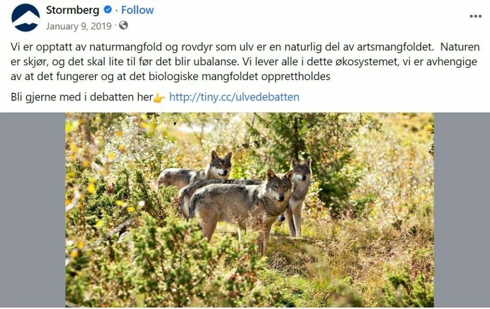 Da Stormberg i 2019 la ut et innlegg på Facebook til støtte for ulvebestanden, fikk de både positive og svært negative reaksjoner.