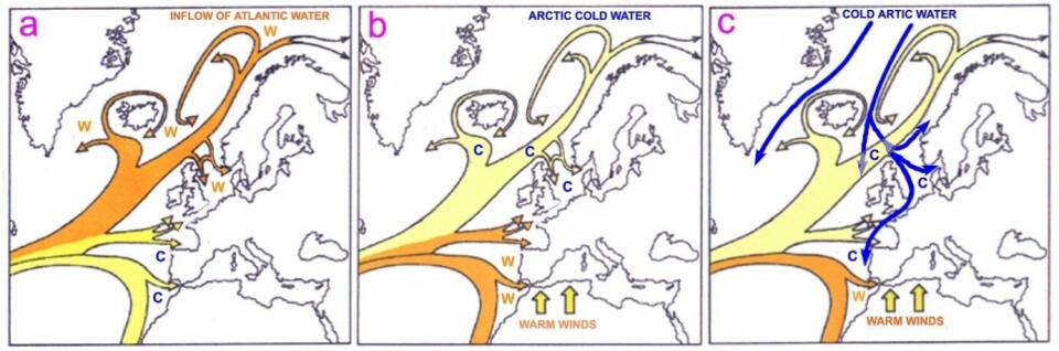Pulsen på den nordlige (den norske Atlanterhavsstrøm) og sørlige (Kanaristrømmen) er avhengig av jordrotasjonen og solaktiviteten. Type a dominerte i perioden med stor solaktivitet (store solmaxima) og type b og c dominerte i perioder med liten solaktivitet,