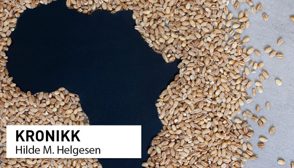 Både matproduksjon, forsyningskjeder og forbruksmønster i afrikanske byer må endres for å gi næringsrik mat og motvirke sosiale ulikheter i kosthold og helse, ifølge kronikkforfatterne.