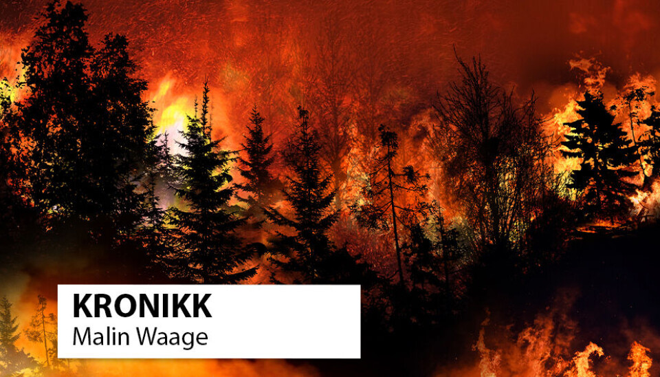 Kunstig intelligens: Tenk deg ei framtid der du får ei varsling timar eller dagar før ei naturkatastrofe eller naturfare med stor sannsyn kjem til å oppstår der du er eller skal? Det byr på svimlande utsikter til å berge livet ditt, ved å la deg evakuere i tide, skriv kronikkforfattaren.