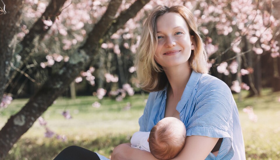 Forskere tror at fosterceller oppdaget i mors brystvev kan være involvert i melkeproduksjonen og at fosterceller i hjernen kan fremme tilknytning mellom mor og barn.