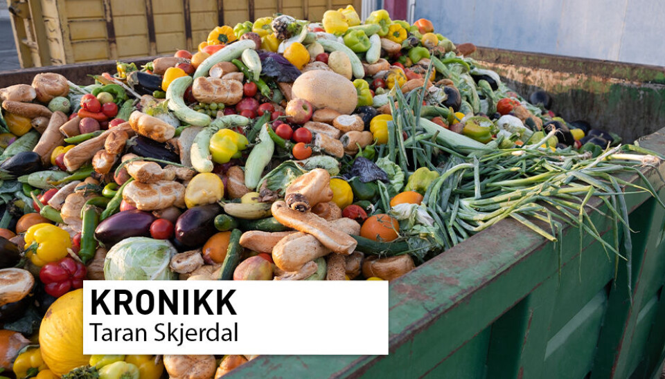 Mykje kan gjerast for å unngå matsvinn, men samstundes må maten vere trygg.