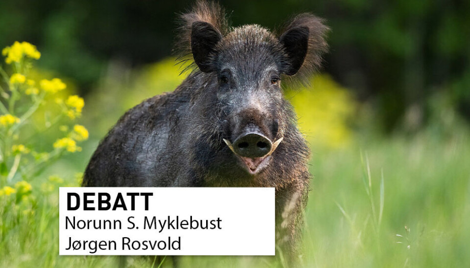 For å kunne gjennomføre gode tiltak, på rett sted og i tilstrekkelig store områder, er det avgjørende at vi har god lokal kunnskap om bestandene, skriver innleggsforfatterne.