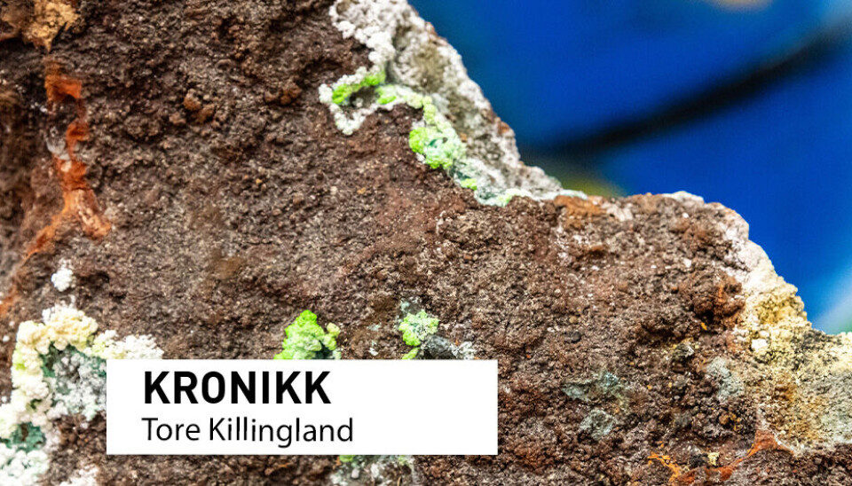 Grønn utfelling av kobbermineral på en mørkere sulfidprøve samlet inn av OD ved Mohnsryggen i 2020.
