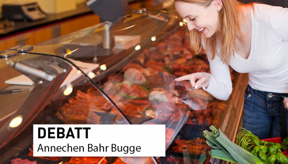 Nordmenn spiser relativt lite kjøtt i forhold til verdensmålestokk, ifølge forsker Annechen Bahr Bugge.