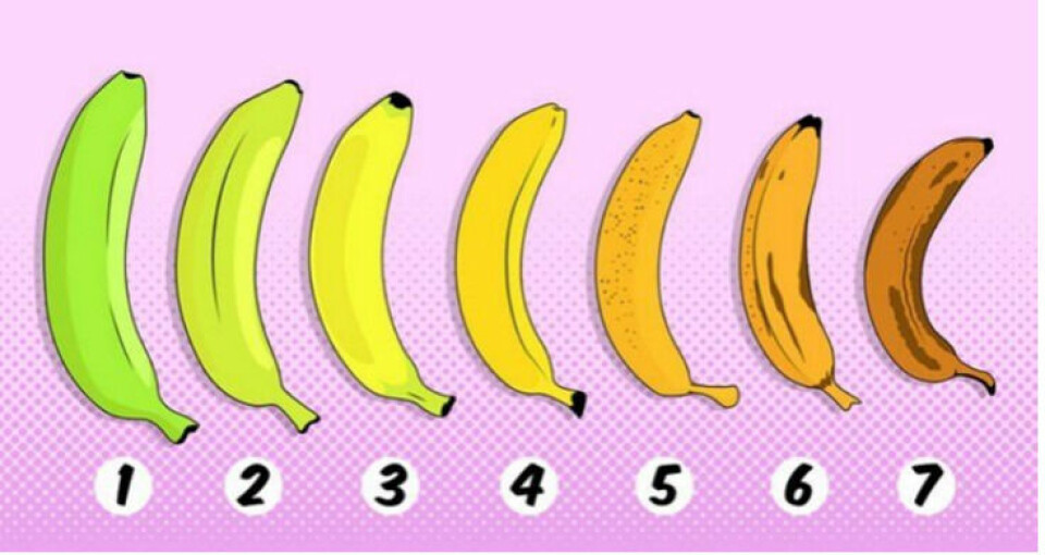 Til vår overraskelse viste det seg at deltakerne ble mer motivert til å spise både banan nr. 6 og 7 når de hadde lest helsebudskapet, skriver kronikkforfatterne.
