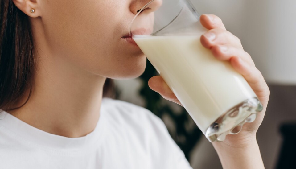 Melk og meieriprodukter er blant de matvaregruppene vi kaster mest. Det er ikke alltid nødvendig å kjøpe melka med lengst holdbarhetsdato, skriver artikkelforfatterne.