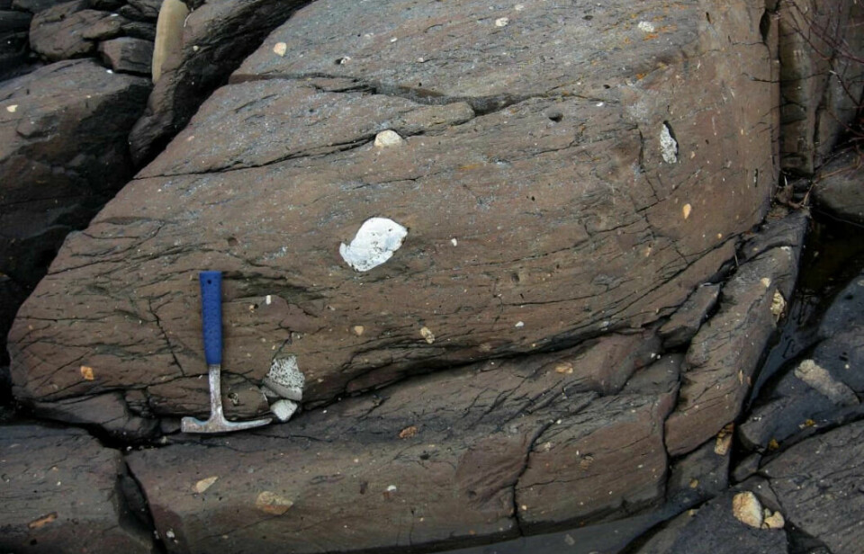 Diamiktitt (som her Mortensnesformasjonen) er en sedimentær bergart avsatt under glasiale forhold. Neoproterozoiske diamiktitter avsattes under kanskje de mest ekstreme klimatiske variasjonene i jordas historie.