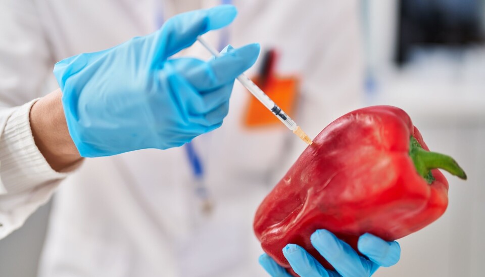 Å tro at vi skal løse negative konsekvenser og bivirkninger av eksisterende teknologi ved å innføre ny og mer avansert teknologi, fremstår som naivt og ahistorisk, skriver spaltist og professor Bjørn Hofmann.