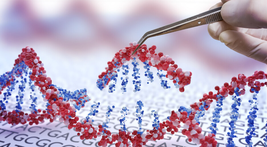 Er fiffige metaforer, stråmenn og handlingslammelse alt du har å tilby, Hofmann?