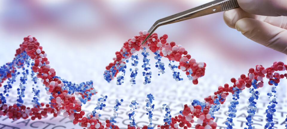 Er fiffige metaforer, stråmenn og handlingslammelse alt du har å tilby, Hofmann?