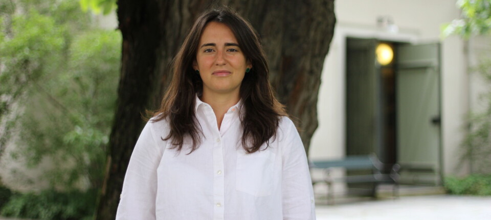 EU påvirker vår hverdag mer enn vi kanskje er klar over