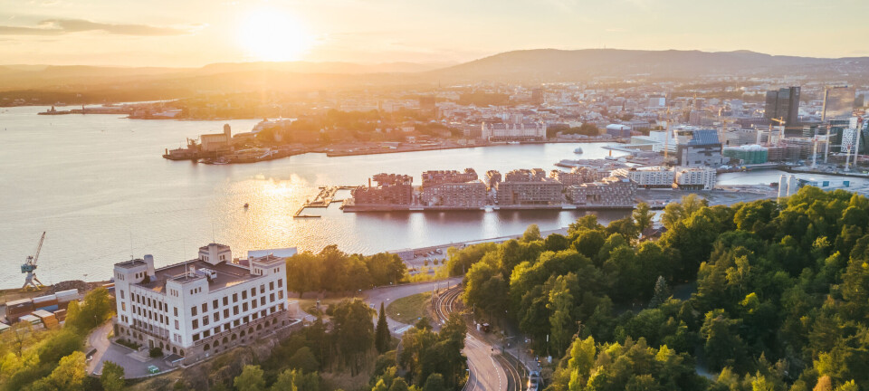 Det er ikke bare på landet vi kan dyrke mat