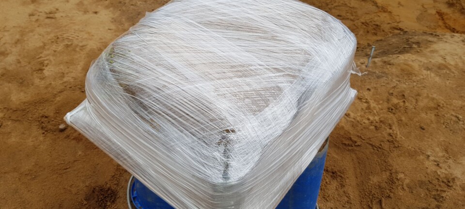 På museet CT-scanner vi julegavene