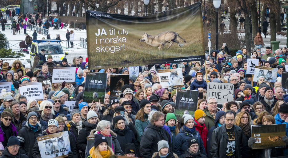 Debatten om fornybar energi og ulv har mye til felles - la konflikten leve