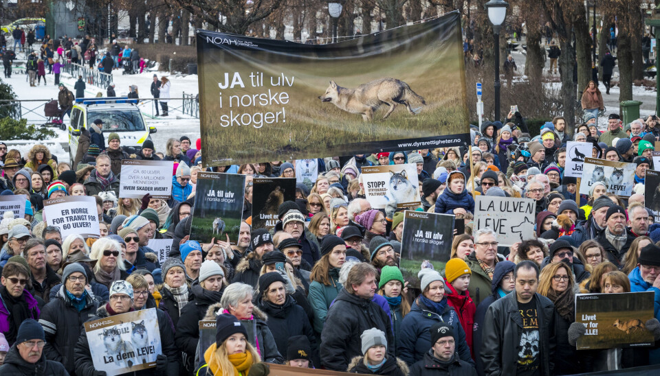 Forsøk på å «øke samfunnsaksepten» for både ulv og vindkraft oppleves av mange berørte som en bagatellisering av legitime bekymringer, mener innleggforfatterne.