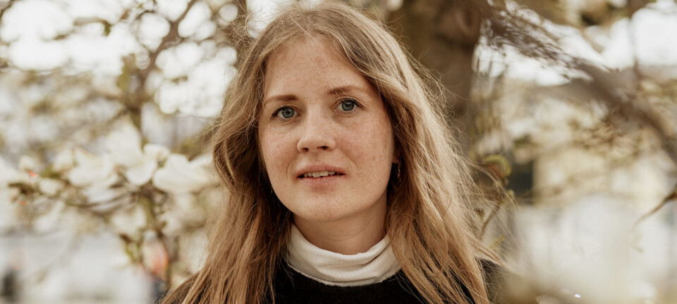 Ultraprosessert er dyrt, usunt og unødvendig