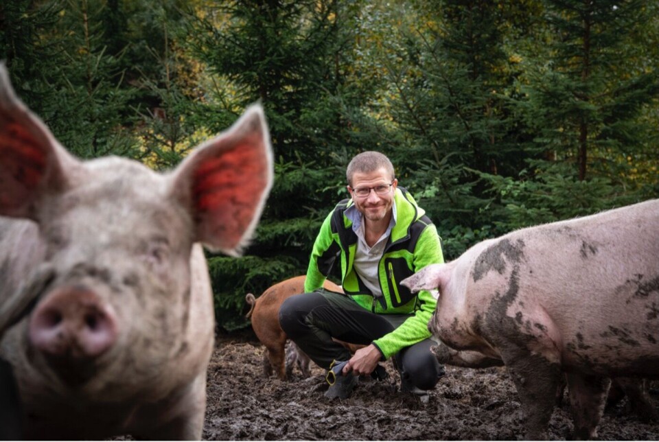 Geir Einar Flathen driver konvensjonell utegrisproduksjon på Bjerke Gård utenfor Tønsberg. Han opplever at fôrforbruket kan øke, men at det er verdt det.