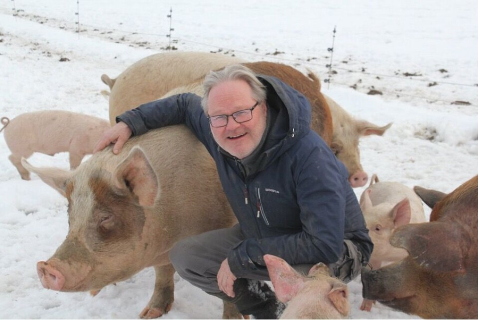 Vidar Julien driver økologisk produksjon av utegris på Kirkenær i Innlandet. Han bruker grisene som jordarbeidere i kornåkeren. Der de spiser planterester og ugress, og legger igjen gjødsel som takk for maten.