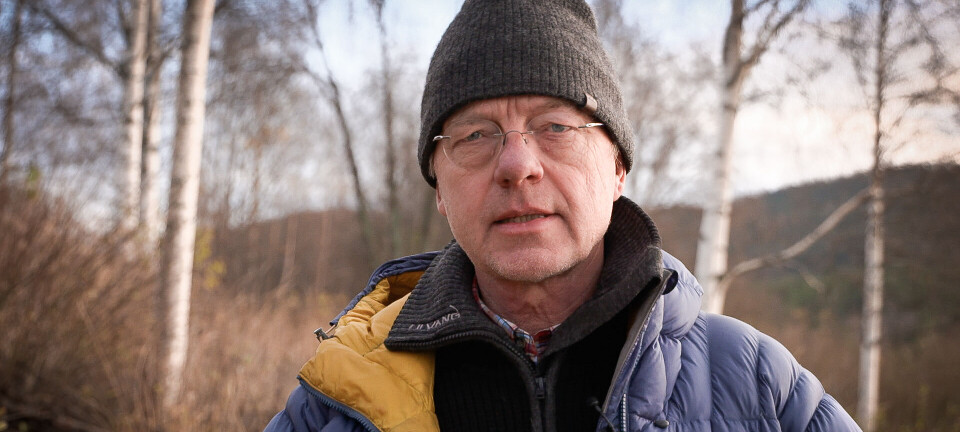 Blyholdig jaktammunisjon må forbys