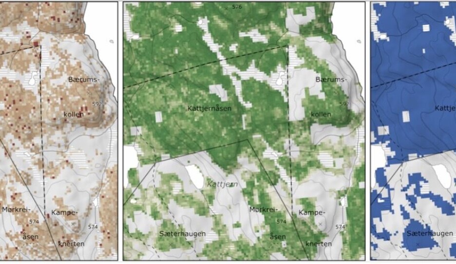 Hvor kan vi finne naturskogen?