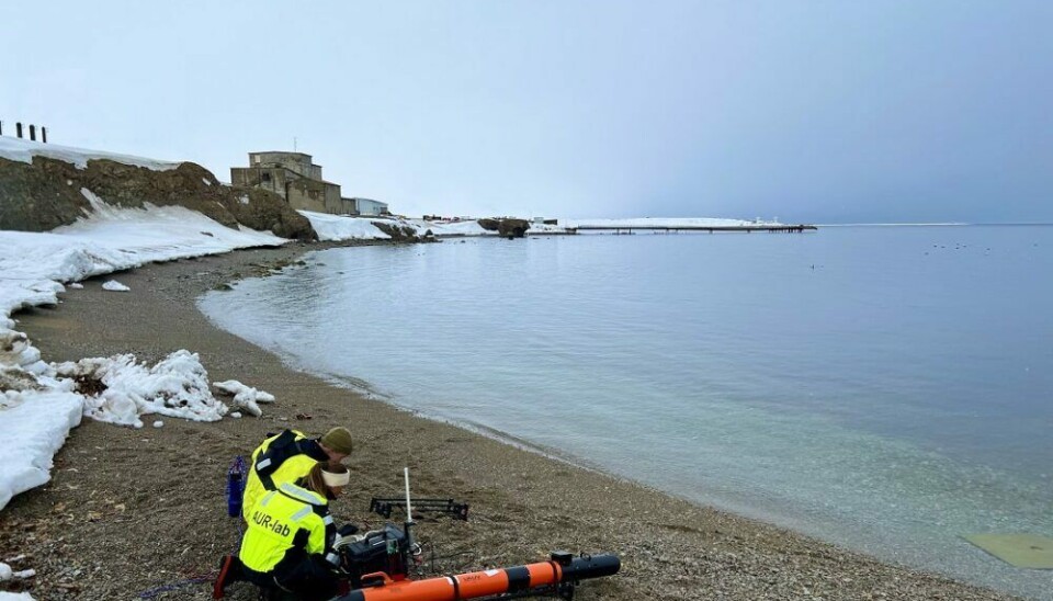 En autonom undervannsrobot gjøres klar i Kongsfjorden på Svalbard. Roboten undersøkte et område med SilCam, et kamera som filmer mikroskopiske detaljer i vannet. SilCam er utviklet ved SINTEF Ocean.