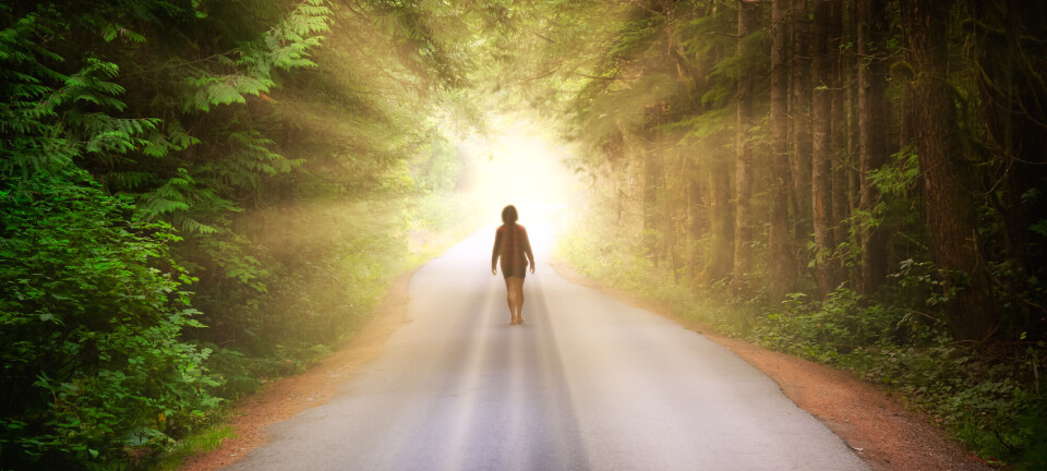 Svar til Shah: Vitenskapen er ikke vestlig – den er universell