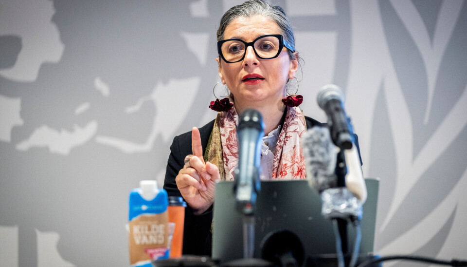 FNs spesialrapportør Francesca Albanese er blant dem som tolker Israels handlinger mot palestinerne på Gazastripen som et folkemord.