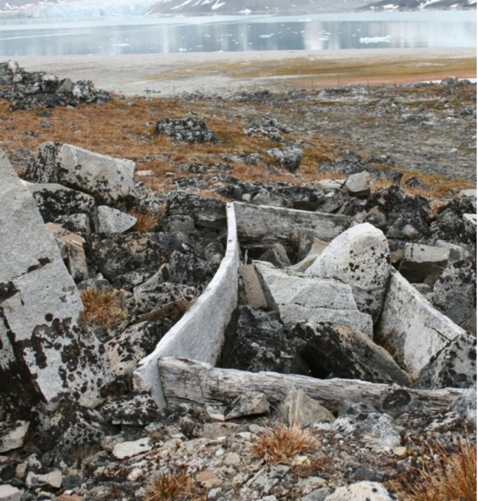 En trekiste er presset opp av permafrosten og eksponeres for vær og vind og for turistenes tråkk i det store gravfeltet på Gravneset nordvest på Spitsbergen, Svalbard.