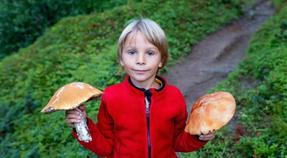 Skole, foreldre og samfunnet må legge til rette for at unge tilbringer mer tid utendørs