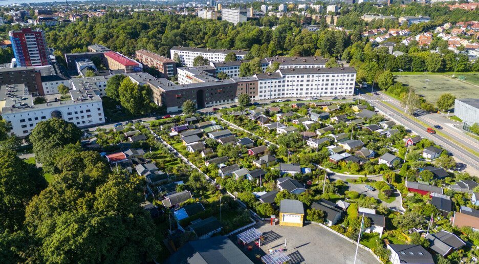 Dette kan kolonihager gjøre for eldre