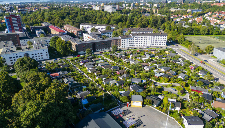 Hjemmets kolonihager på Sagene i Oslo.
