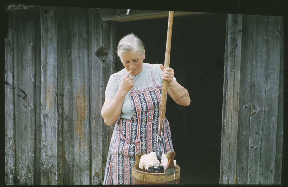 Seterkulturen er ikke bare en romantisk rest fra fortiden, men en levende del av Norges matkulturelle arv. På bildet er ei budeie som kjerner smør.