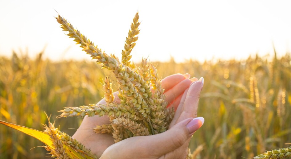 Matsikkerhet: Ett steg i riktig retning